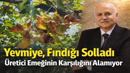 Yevmiye Daha Kazançlı: Fındık Para Etmiyor