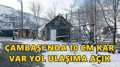 Çambaşı Yaylası Nisan'da Beyaza Büründü: 10 Cm Kar Var