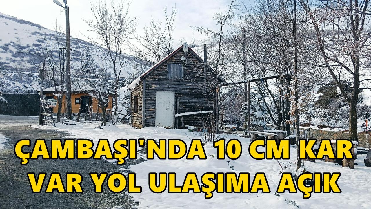 Çambaşı Yaylası Nisan'da Beyaza Büründü: 10 Cm Kar Var