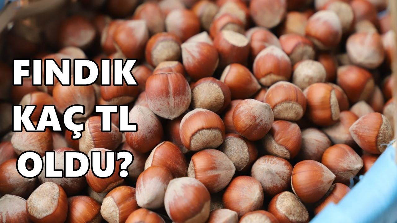 Fındık Fiyatı 11 Nisan 2026 Cumartesi