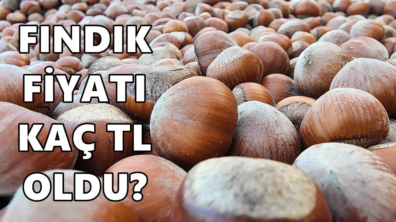 Fındık Fiyatı 14 Nisan 2026 Salı