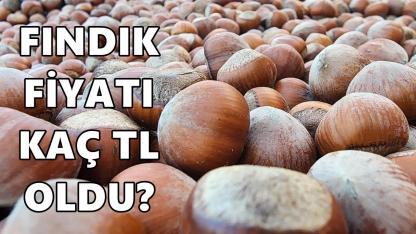 Fındık Fiyatı 14 Nisan 2026 Salı