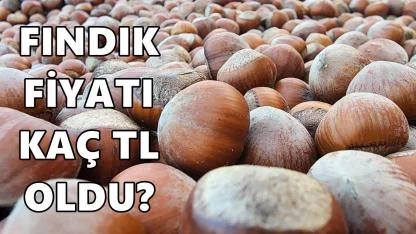 Fındık Fiyatı 14 Nisan 2026 Salı