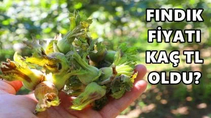 Fındık Fiyatı 17 Nisan 2026 Cuma
