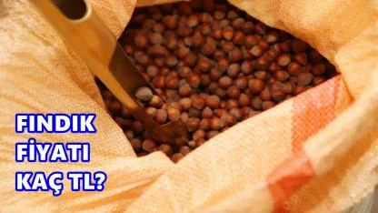 Fındık Fiyatı 18 Nisan 2026 Cumartesi