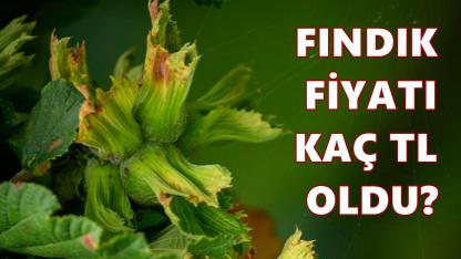 Fındık Fiyatı 23 Nisan 2026 Perşembe