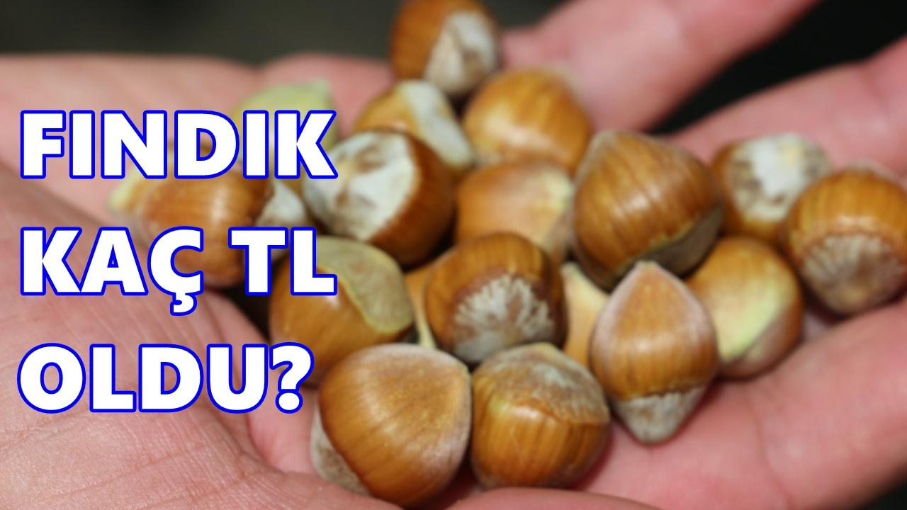 Fındık Fiyatı 26 Nisan 2026 Pazar