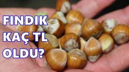 Fındık Fiyatı 28 Nisan 2026 Salı