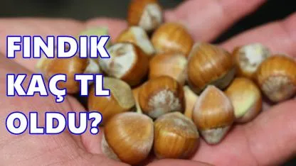 Fındık Fiyatı 28 Nisan 2026 Salı