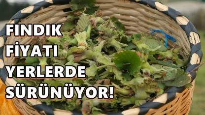 Fındık Fiyatı 3 Nisan 2026 Cuma