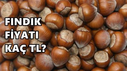 Fındık Fiyatı 6 Nisan 2026 Pazartesi