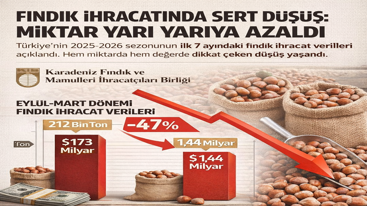 Fındık İhracatında Sert Düşüş: Miktar Yarı Yarıya Azaldı