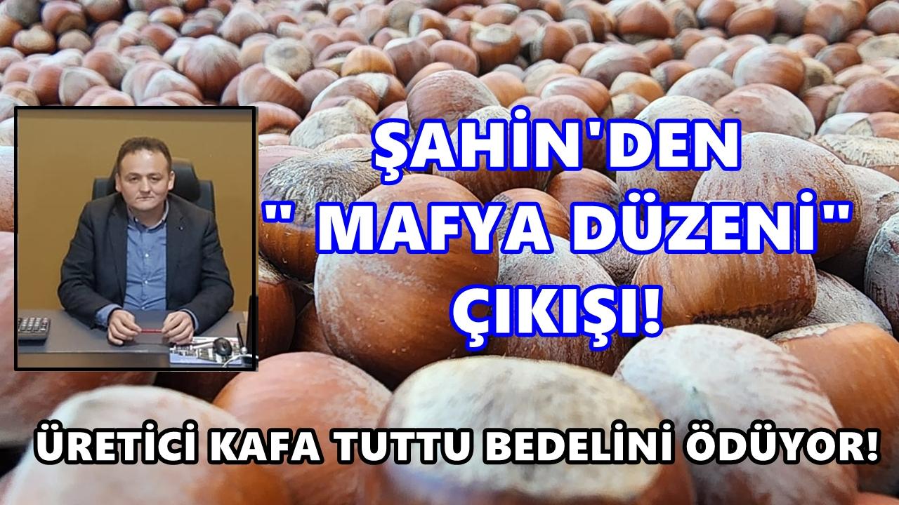 Fındıkta “Mafya Düzeni” Çıkışı: “Çiftçi Kafa Tuttu, Bedeli Fiyatla Ödetiliyor”
