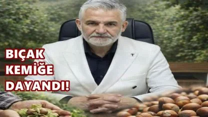 Fındıkta Tekel Tepkisi Büyüyor: “Artık Bıçak Kemiğe Dayandı”