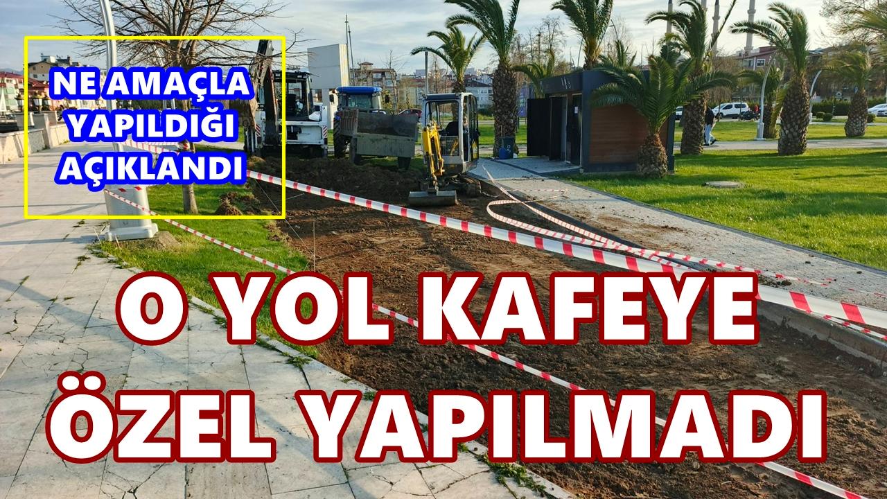 Ordu'da Yol Tartışması: Açıklama Geldi O Yol Kafe İçin Yapılmadı