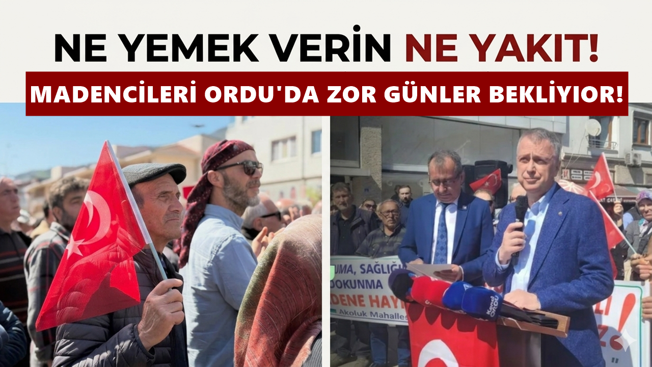 “Ne Yemek Verin Ne Yakıt!” Madencileri Ordu'da Zor Günler Bekliyor