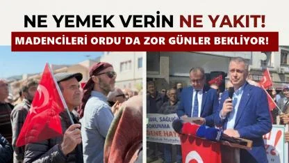 “Ne Yemek Verin Ne Yakıt!” Madencileri Ordu'da Zor Günler Bekliyor