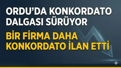 Ordu’da Konkordato Dalgası Sürüyor: Bir Firma Daha Konkordato İlan Etti
