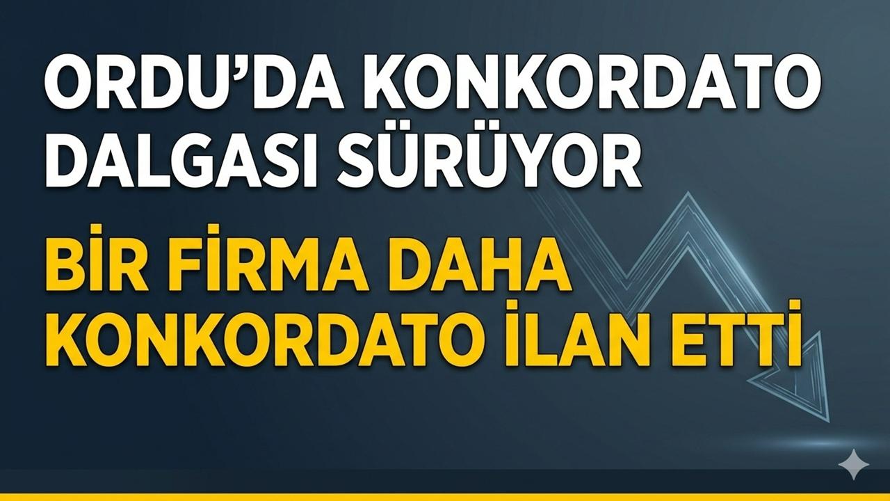 Ordu’da Konkordato Dalgası Sürüyor: Bir Firma Daha Konkordato İlan Etti