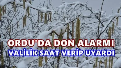 Ordu’da Zirai Don Alarmı: Valilik Saat Vererek Uyardı