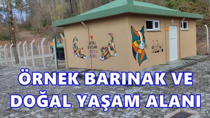 Ünye’de Örnek Barınak ve Doğal Yaşam Alanında Sona Gelindi