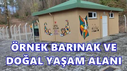 Ünye’de Örnek Barınak ve Doğal Yaşam Alanında Sona Gelindi