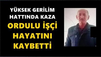 Yüksek Gerilim Hattında Feci Kaza: Ordulu İşçi Hayatını Kaybetti