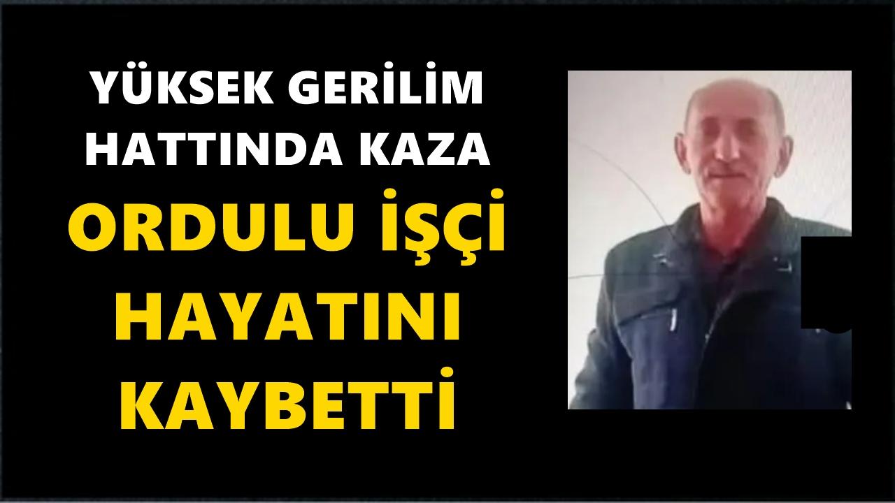 Yüksek Gerilim Hattında Feci Kaza: Ordulu İşçi Hayatını Kaybetti