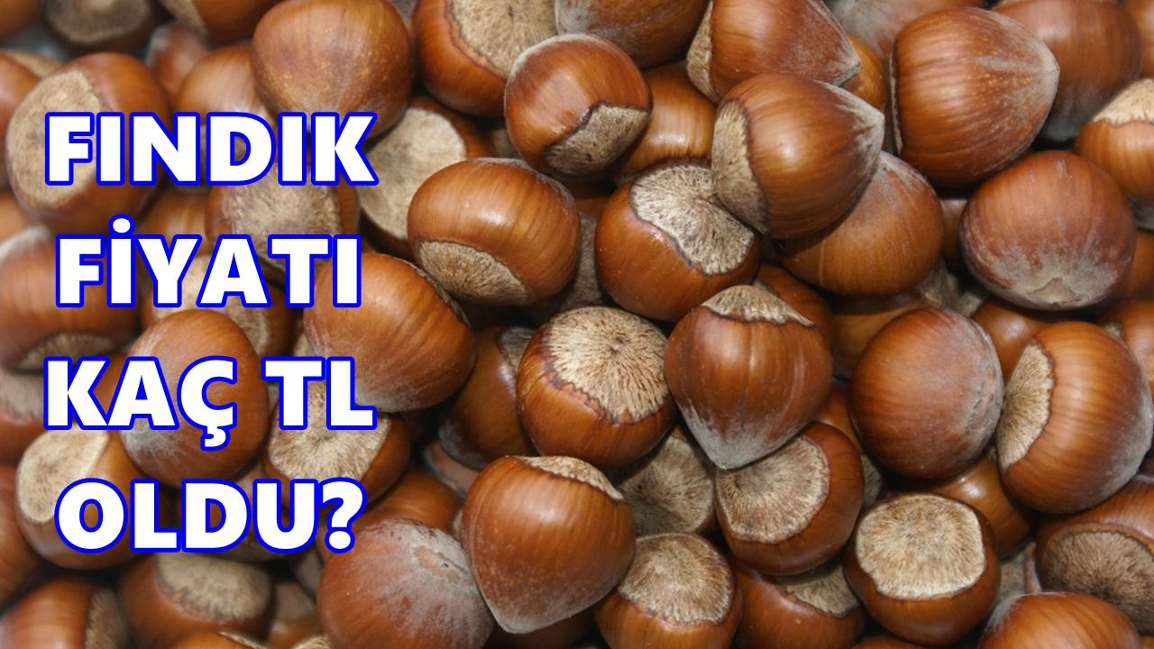 Fındık Fiyatı 6 Mayıs 2026 Çarşamba