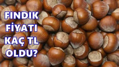 Fındık Fiyatı 6 Mayıs 2026 Çarşamba