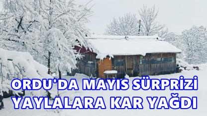 Ordu’da Mayıs Sürprizi: Yüksek Kesimlere Kar Yağdı