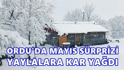 Ordu’da Mayıs Sürprizi: Yüksek Kesimlere Kar Yağdı