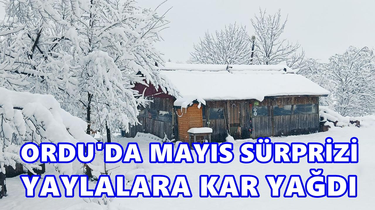 Ordu’da Mayıs Sürprizi: Yüksek Kesimlere Kar Yağdı