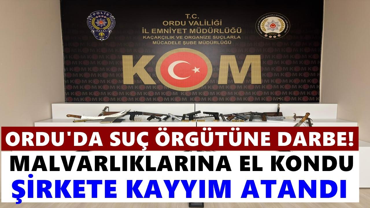 Ordu'da Suç Örgütüne Büyük Darbe: Mal Varlıklarına El Kondu, Şirkete Kayyım Atandı
