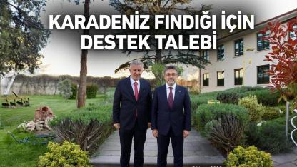 Şenocak Karadeniz Fındığı İçin Bakan Yumaklı'dan Destek istedi