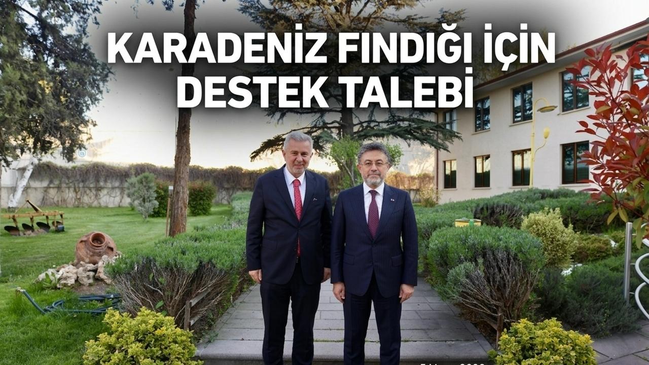 Şenocak Karadeniz Fındığı İçin Bakan Yumaklı'dan Destek istedi