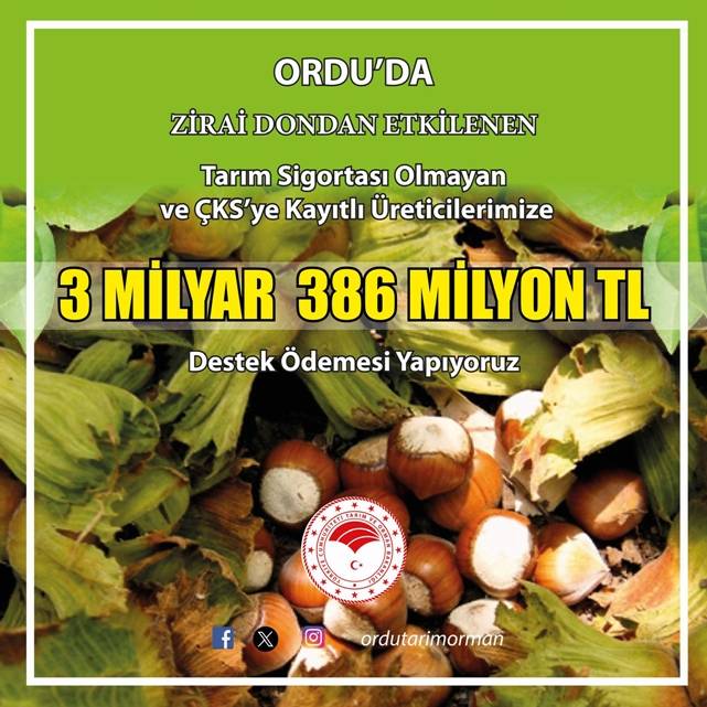 Ordu’da Dondan Zarar Gören Çiftçilere 3,3 Milyar TL Ödeme Yapılacak