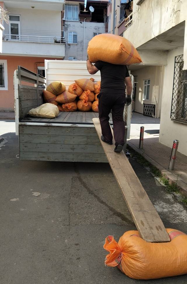 Fındık Fiyatları Çakıldı: 10 TL Birden Düştü