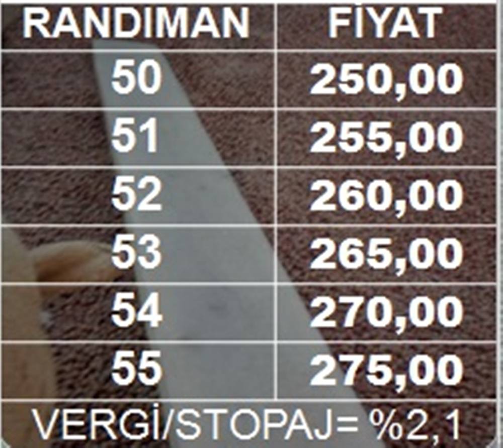 Fındık Fiyatı Çakıldı; Yeni Yıl Masalı Bitti