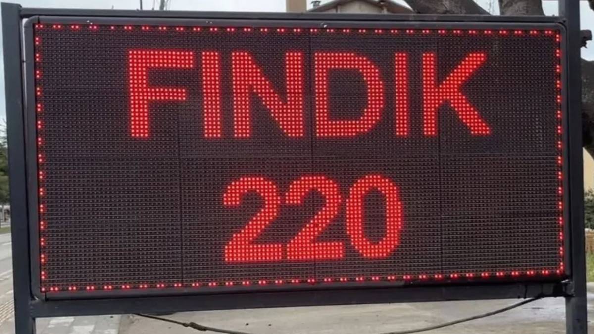 Fındıkta Kirli Oyun! Fiyatlar Dibe Vurdu; Ton Başına Zarar 120 Bin TL