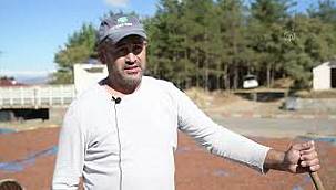 Fındıklar Göç Etti